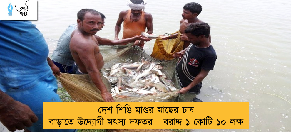 দেশ শিঙি-মাগুর মাছের চাষ বাড়াতে উদ্যোগী মৎস্য দফতর - বরাদ্দ ১ কোটি ১০ লক্ষ