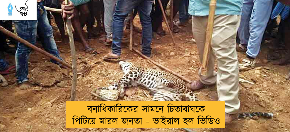 বনাধিকারিকের সামনে চিতাবাঘকে  পিটিয়ে মারল জনতা - ভাইরাল হল ভিডিও