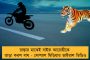 টলি পাড়া কার দখলে থাকবে? - বিজেপি-আরএসএস দ্বন্দ্ব প্রকাশ্যে