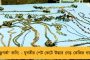 বেআইনি কার্যকলাপ রোধ সম্পর্কিত বিলে কোপ পড়তে পারে দেশবাসীর ওপরেও - ‘কালা কানুন’ নিয়ে সরব বিরোধীরা