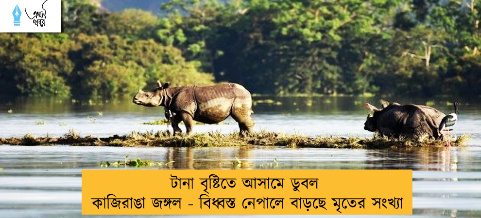 টানা বৃষ্টিতে আসামে ডুবল কাজিরাঙা জঙ্গল - বিধ্বস্ত নেপালে বাড়ছে মৃতের সংখ্যা
