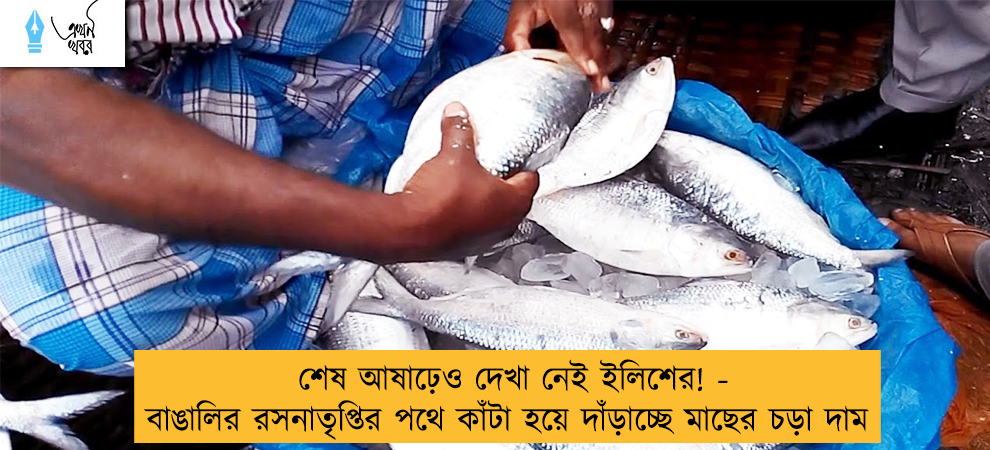 শেষ আষাঢ়েও দেখা নেই ইলিশের! - বাঙালির রসনাতৃপ্তির পথে কাঁটা হয়ে দাঁড়াচ্ছে মাছের চড়া দাম