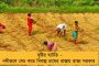 পথ নিরাপত্তায় নয়া নির্দেশিকা রাজ্যের – বাধ্যতামূলক হচ্ছে রাস্তায় ‘ক্যাটস আই’ প্রযুক্তির ব্যবহার