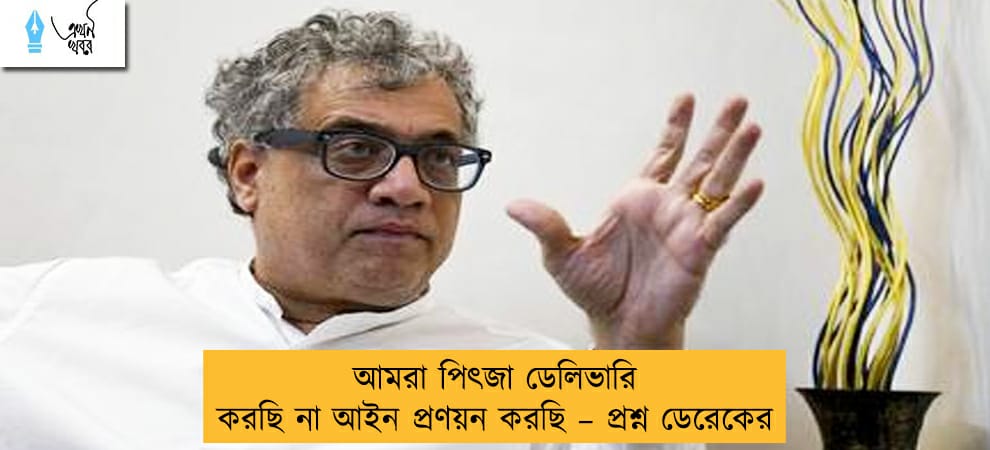 আমরা পিৎজা ডেলিভারি করছি না আইন প্রণয়ন করছি – প্রশ্ন ডেরেকের