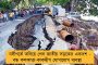 নিজের খাসতালুকেই কাটমানি কোপে মুকুল-শুভ্রাংশুর নামে পোস্টার – অস্বস্তিতে গেরুয়া শিবির