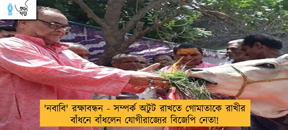 'নবাবি' রক্ষাবন্ধন - সম্পর্ক অটুট রাখতে গোমাতাকে রাখীর বাঁধনে বাঁধলেন যোগীরাজ্যের বিজেপি নেতা!