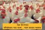 এইমসকে ঘিরে সেতু-সড়ক - কল্যাণীতে উন্নয়নের জোয়ার আনছে মমতার সরকার