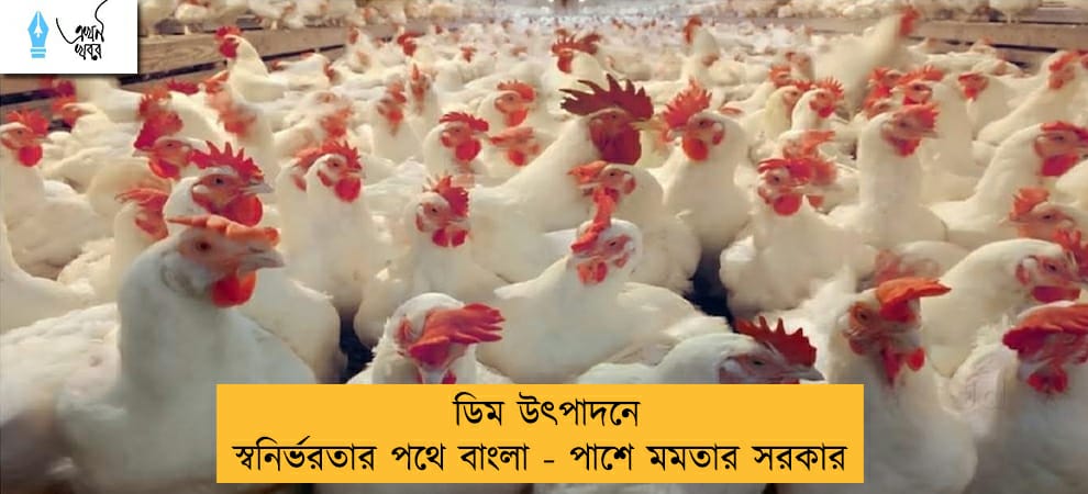 ডিম উৎপাদনে স্বনির্ভরতার পথে বাংলা - পাশে মমতার সরকার