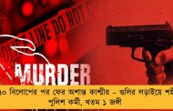 ৩৭০ বিলোপের পর ফের অশান্ত কাশ্মীর – গুলির লড়াইয়ে শহীদ পুলিশ কর্মী, খতম ১ জঙ্গী