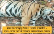 লালগড়ে বাঘমৃত্যু নিয়েও গেরুয়া রাজনীতি – তদন্ত শেষের আগেই রাজ্যকে অ্যাডভাইসরি কেন্দ্রের