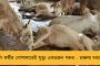 জামিনের আবেদন খারিজ - ৫ দিনের সিবিআই হেফাজতে চিদম্বরম