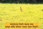 নিত্যনতুন কার্টুনে চলছে নেত্রীর প্রচার-কেন্দ্রকে কটাক্ষ - পিকের মোক্ষম চালে আরও নজর কাড়ছে 'আমার গর্ব মমতা'