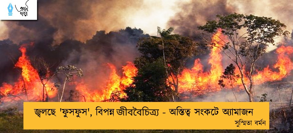 জ্বলছে 'ফুসফুস', বিপন্ন জীববৈচিত্র‍্য - অস্তিত্ব সংকটে অ্যামাজন ----সুস্মিতা বর্মন