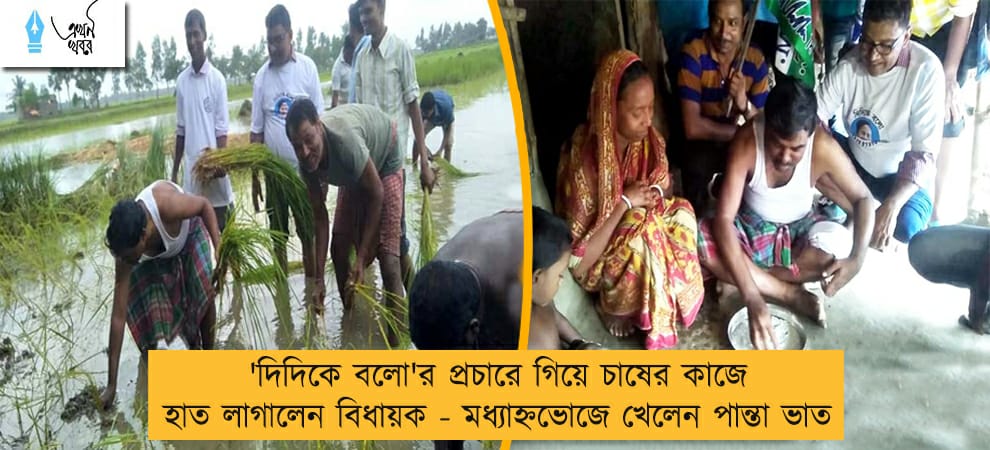 'দিদিকে বলো'র প্রচারে গিয়ে চাষের কাজে হাত লাগালেন বিধায়ক - মধ্যাহ্নভোজে খেলেন পান্তা ভাত