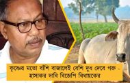 কৃষ্ণের মতো বাঁশি বাজালেই বেশি দুধ দেবে গরু - হাস্যকর দাবি বিজেপি বিধায়কের