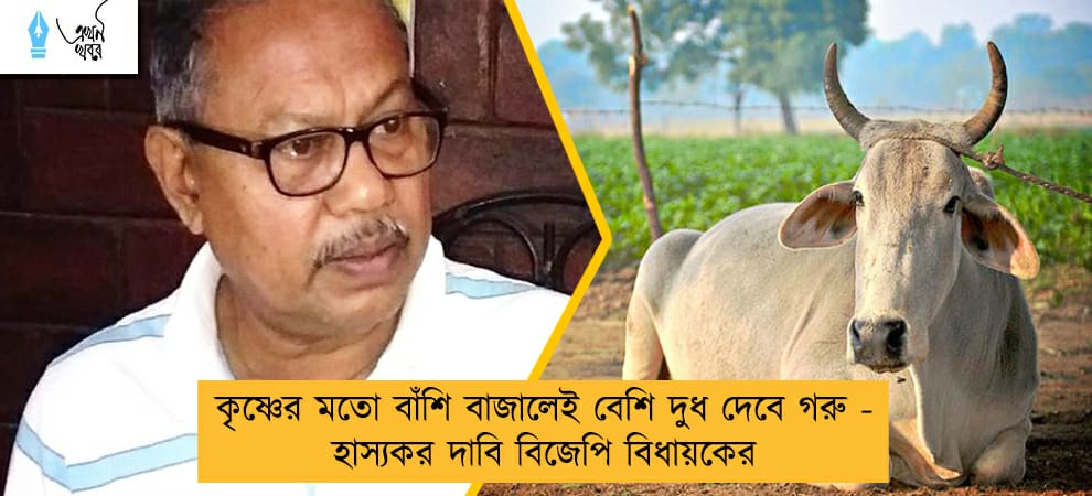 কৃষ্ণের মতো বাঁশি বাজালেই বেশি দুধ দেবে গরু - হাস্যকর দাবি বিজেপি বিধায়কের