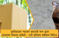ক্যুরিয়ারের প্যাকেট খুলতেই ফণা তুলে বেরোলো বিষধর কেউটে - নেট দুনিয়ায় ভাইরাল ভিডিও