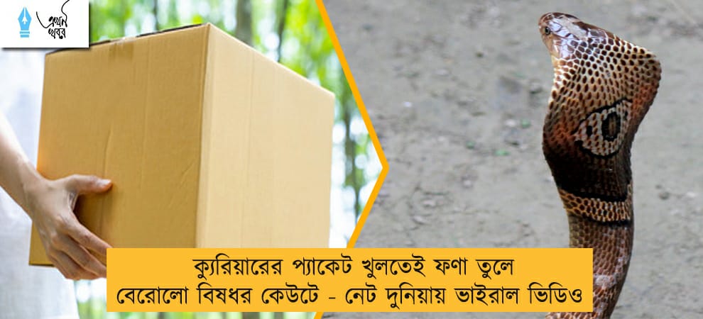 ক্যুরিয়ারের প্যাকেট খুলতেই ফণা তুলে বেরোলো বিষধর কেউটে - নেট দুনিয়ায় ভাইরাল ভিডিও
