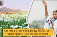 চড়া দামের কারণে দোসর হারাচ্ছে বিউলির ডাল - মমতার উদ্যোগে পোস্ত চাষ হবে বাংলাতেই