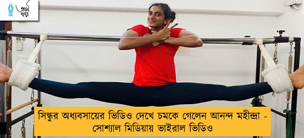 সিন্ধুর অধ্যবসায়ের ভিডিও দেখে চমকে গেলেন আনন্দ মহীন্দ্রা - সোশ্যাল মিডিয়ায় ভাইরাল ভিডিও