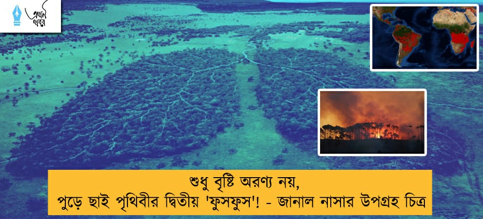 শুধু বৃষ্টি অরণ্য নয়, পুড়ে ছাই পৃথিবীর দ্বিতীয় 'ফুসফুস'! - জানাল নাসার উপগ্রহ চিত্র