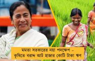মমতা সরকারের নয়া পদক্ষেপ – কৃষিতে বরাদ্দ আট হাজার কোটি টাকা ঋণ