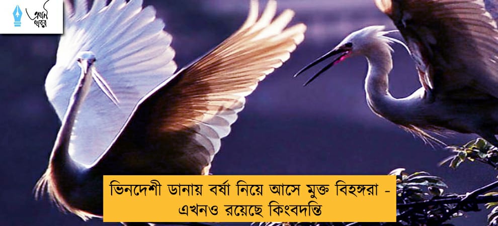ভিনদেশী ডানায় বর্ষা নিয়ে আসে  মুক্ত বিহঙ্গরা - এখনও রয়েছে কিংবদন্তি