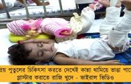 প্রিয় পুতুলের চিকিৎসা করতে দেখেই কান্না থামিয়ে ভাঙা পায়ে প্লাস্টার করাতে রাজি খুদে - ভাইরাল ভিডিও
