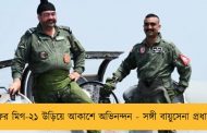 ফের মিগ-২১ উড়িয়ে আকাশে অভিনন্দন - সঙ্গী বায়ুসেনা প্রধান