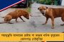নিষিদ্ধ হোক ইভিএম – দাবি উঠল নির্বাচন কমিশনের ফেসবুক লাইভে