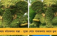 উড়িষ্যায় কাঁচাকলার বাপ্পা - পুজো শেষে পাকাকলায় ভরবে ভুখা পেট