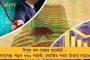 'বাস্তবের মহানায়ক'---- রানা চক্রবর্তী