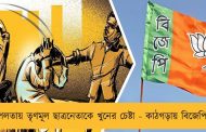 পলতায় তৃণমূল ছাত্রনেতাকে খুনের চেষ্টা - কাঠগড়ায় বিজেপি