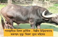 পাকস্থলীতে মিলল প্লাস্টিক - দিল্লীর চিড়িয়াখানায় অকস্মাৎ মৃত্যু 'বিরল' বুনো মহিষের