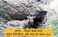 নৃশংস – বিহারে জ্যান্ত কবর আহত নীলগাইকে, গুলি করে খুন আরও ৩০০
