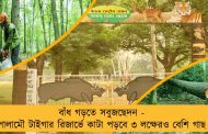 বাঁধ গড়তে সবুজছেদন - পালামৌ টাইগার রিজার্ভে কাটা পড়বে ৩ লক্ষেরও বেশি গাছ