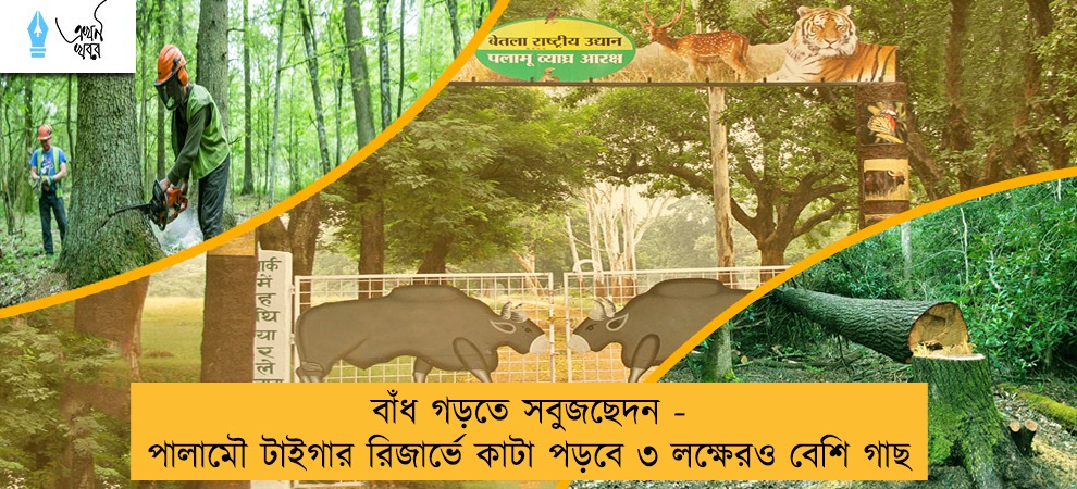 বাঁধ গড়তে সবুজছেদন - পালামৌ টাইগার রিজার্ভে কাটা পড়বে ৩ লক্ষেরও বেশি গাছ