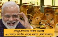 গোমূত্র-গোবরের ব্যবসা করলেই ৬০ শতাংশ আর্থিক সাহায্য করবে মোদী সরকার!