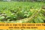 এখনও খোঁজ পায়নি ইসরো - জাতীয়তাবাদের জিগির তুলতেই কি 'বিক্রম'কে নিয়ে ভুয়ো খবরের বন্যা?