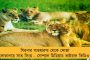 ফের হিন্দী চাপানোর চেষ্টা? – হিন্দী দিবসে ‘এক দেশ এক ভাষা’র পক্ষে সওয়াল অমিত শাহর