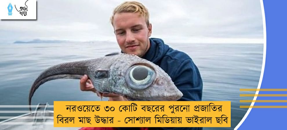 নরওয়েতে ৩০ কোটি বছরের পুরনো প্রজাতির বিরল মাছ উদ্ধার - সোশ্যাল মিডিয়ায় ভাইরাল ছবি