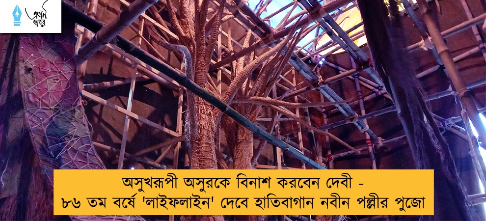 অসুখরূপী অসুরকে বিনাশ করবেন দেবী - ৮৬ তম বর্ষে 'লাইফলাইন' দেবে হাতিবাগান নবীন পল্লীর পুজো