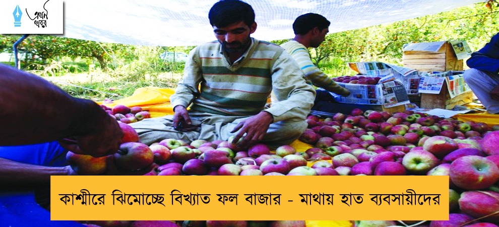 কাশ্মীরে ঝিমোচ্ছে বিখ্যাত ফল বাজার - মাথায় হাত ব্যবসায়ীদের