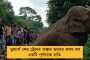উত্তরপ্রদেশের বেহাল চিত্র – বন্দুক দেখিয়ে মারধর করে স্ত্রীর গায়ে প্রস্রাব যোগীর মন্ত্রীর