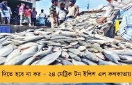দিতে হবে না কর – ২৪ মেট্রিক টন ইলিশ এল কলকাতায়