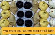 পুজো মাতাতে নতুন অঙ্গ সাজে বাংলার সনাতনী মিষ্টিরা