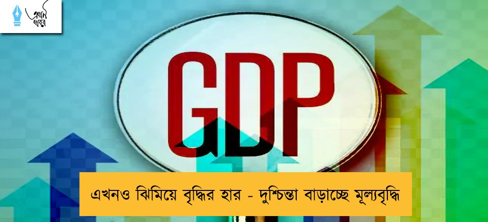 এখনও ঝিমিয়ে বৃদ্ধির হার - দুশ্চিন্তা বাড়াচ্ছে মূল্যবৃদ্ধি
