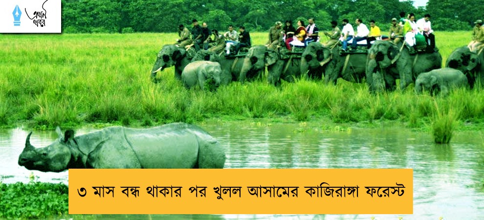 ৩ মাস বন্ধ থাকার পর খুলল আসামের কাজিরাঙ্গা ফরেস্ট