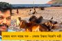 মহারাষ্ট্রে বিধানসভা ভোটে অশান্তি – প্রার্থীকে তাক করে গুলি, জ্বলল আগুন