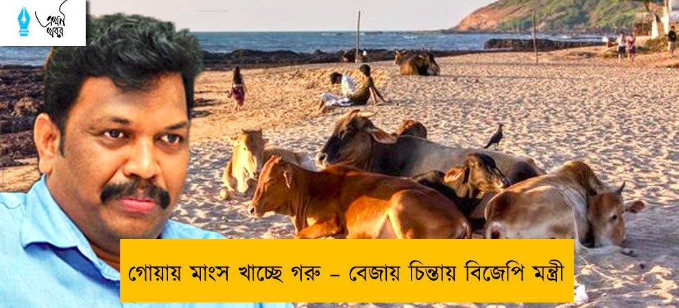 গোয়ায় মাংস খাচ্ছে গরু – বেজায় চিন্তায় বিজেপি মন্ত্রী